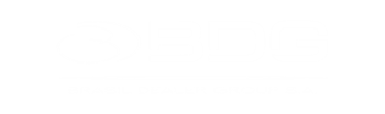 Logo da BDG SERVICOS