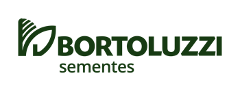 Logo da Bortoluzzi
