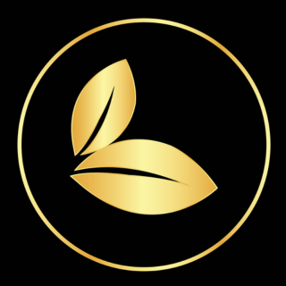 Logo da MaxGroup