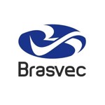 Brasvec