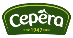 Imagem de ConectaSer Recrutamento e Seleção