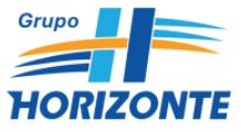 Image of HORIZONTE LOGISTICA LTDA