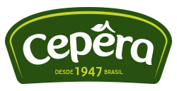 Imagem de ConectaSer Recrutamento e Seleção